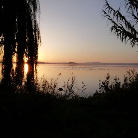 La Fenice Montefiascone Dış mekan fotoğraf