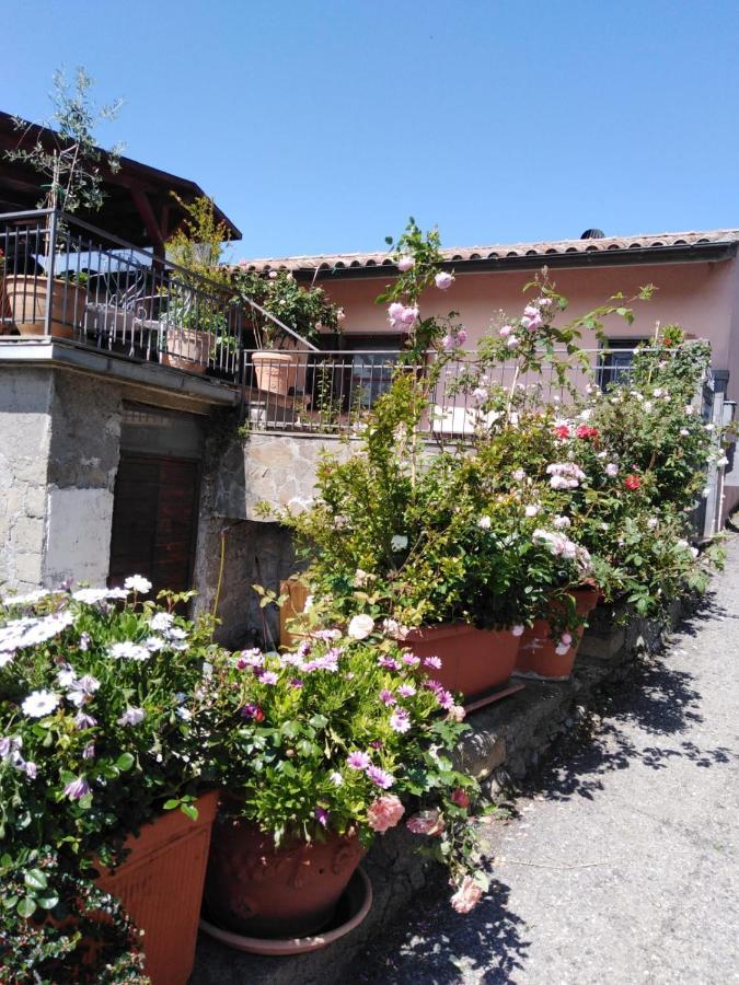 La Fenice Montefiascone Dış mekan fotoğraf