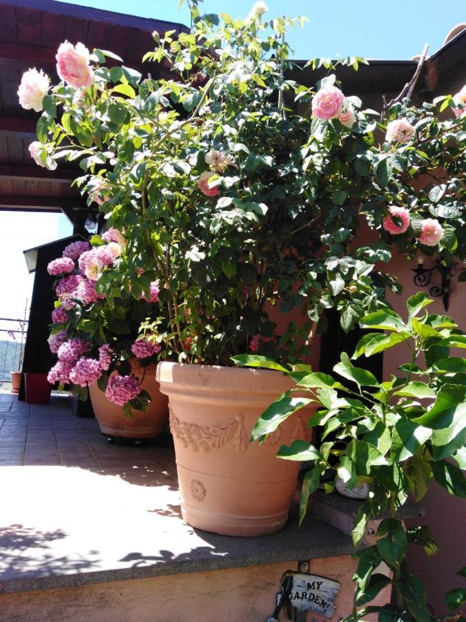 La Fenice Montefiascone Dış mekan fotoğraf
