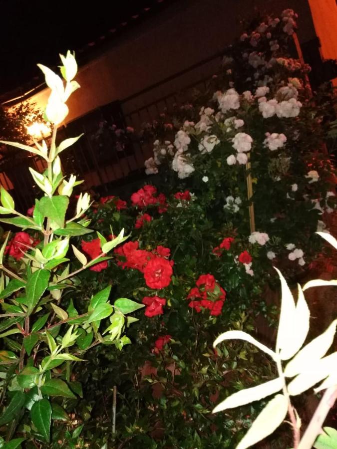 La Fenice Montefiascone Dış mekan fotoğraf