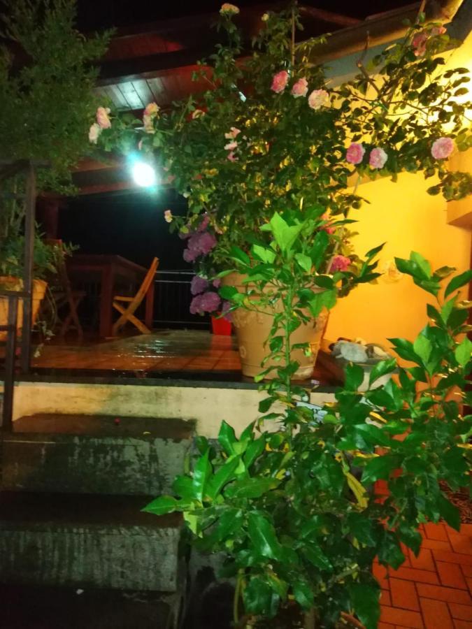 La Fenice Montefiascone Dış mekan fotoğraf