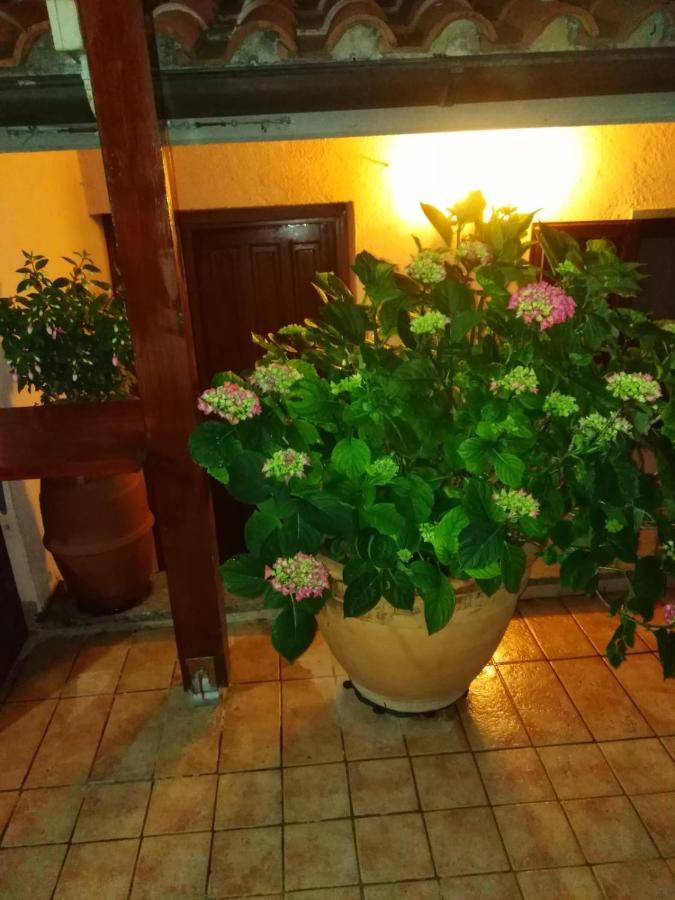 La Fenice Montefiascone Dış mekan fotoğraf