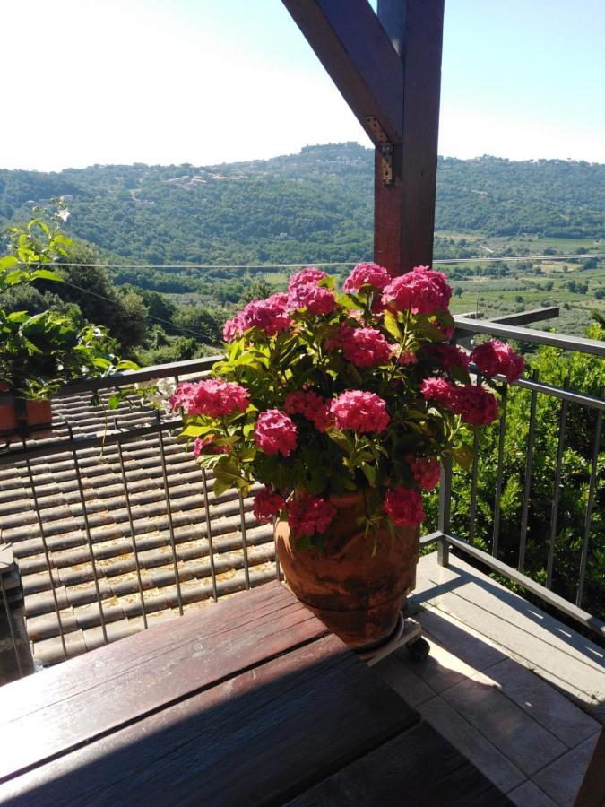 La Fenice Montefiascone Dış mekan fotoğraf