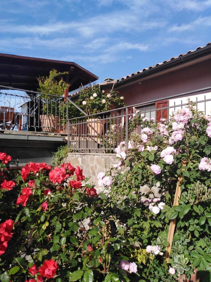 La Fenice Montefiascone Dış mekan fotoğraf