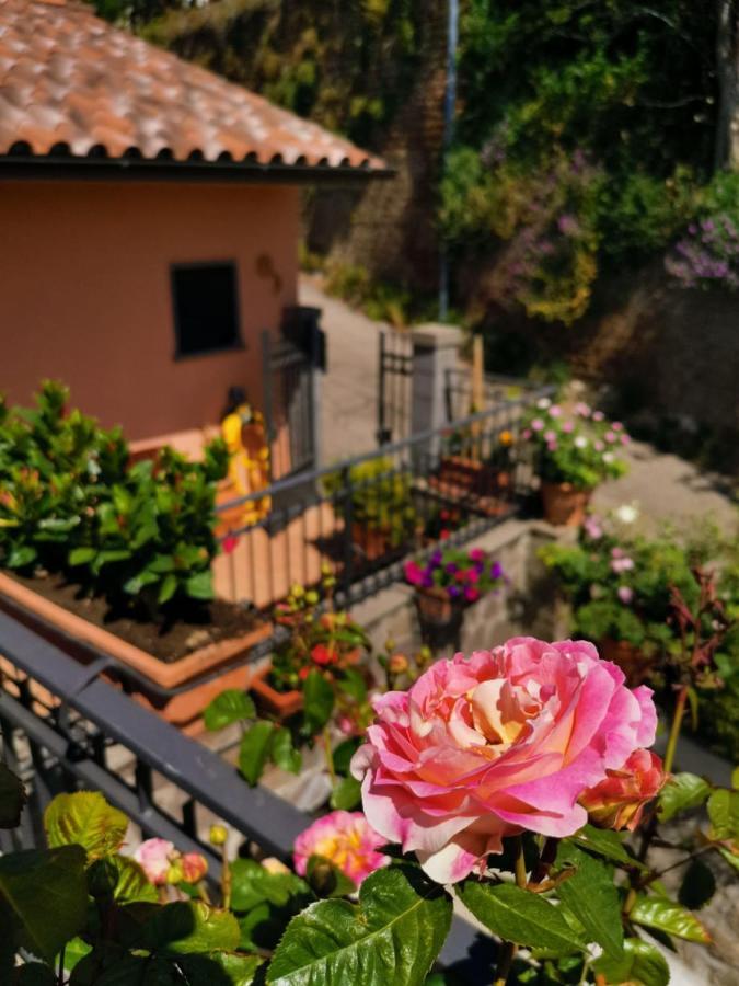 La Fenice Montefiascone Dış mekan fotoğraf