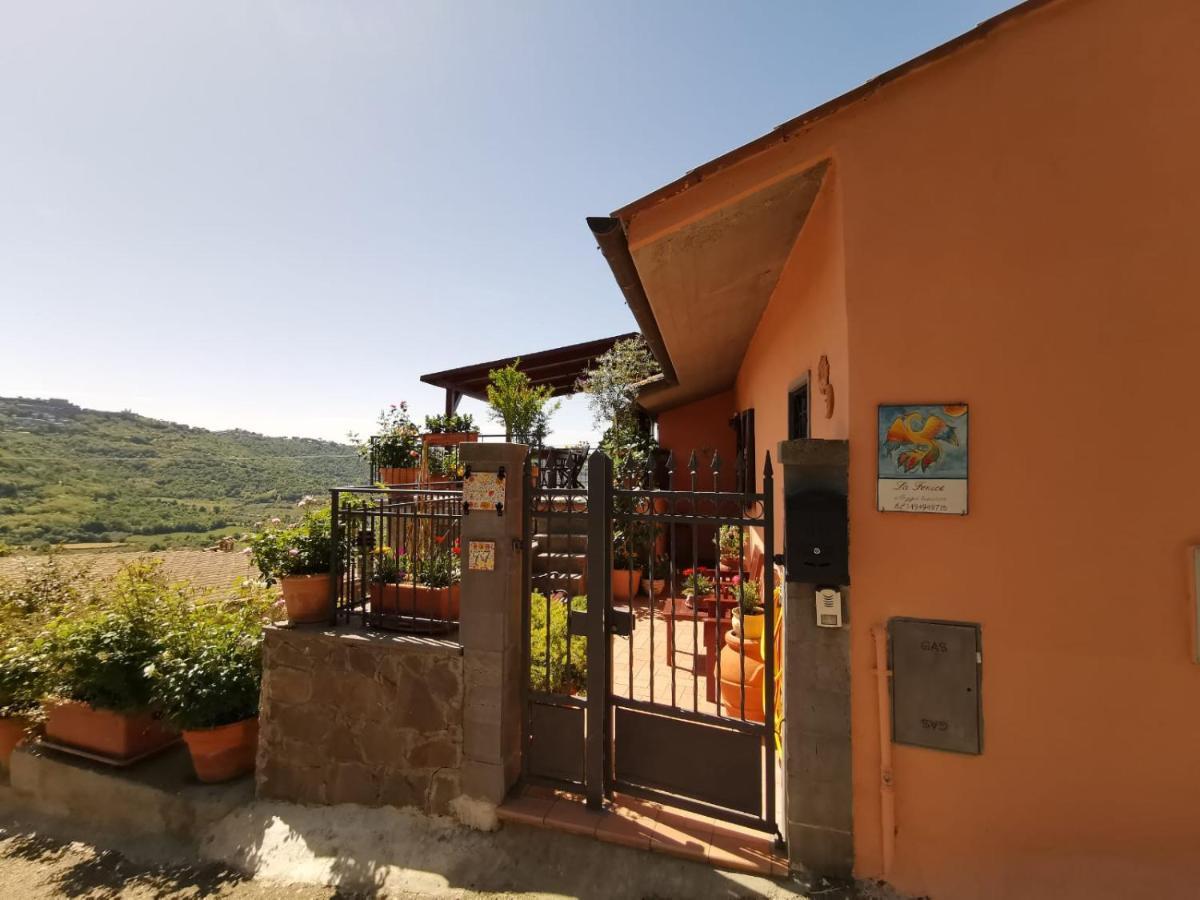 La Fenice Montefiascone Dış mekan fotoğraf
