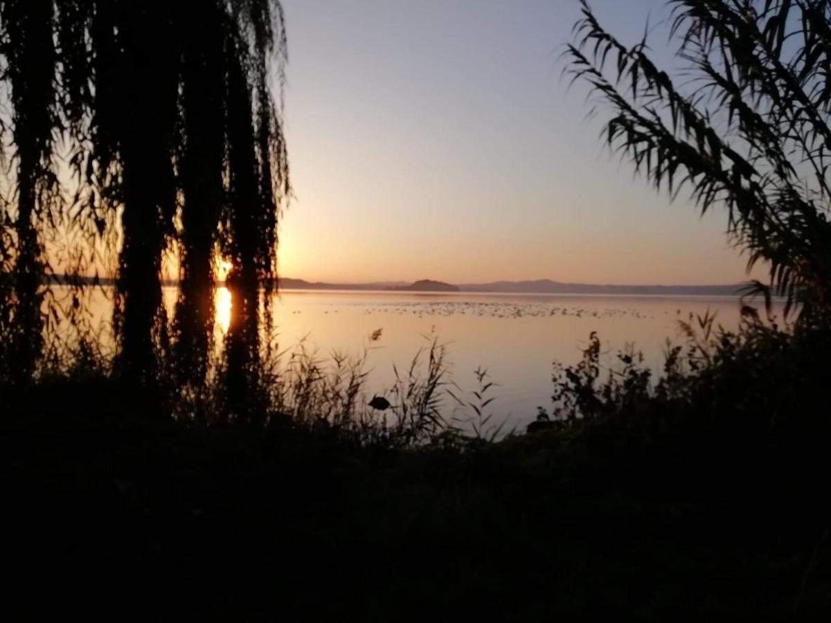 La Fenice Montefiascone Dış mekan fotoğraf