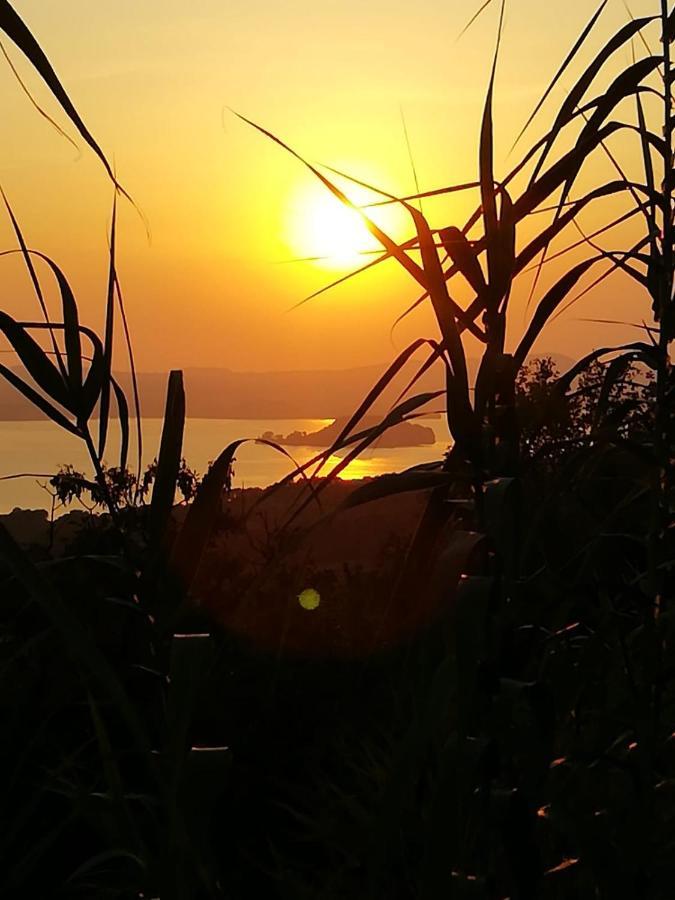 La Fenice Montefiascone Dış mekan fotoğraf