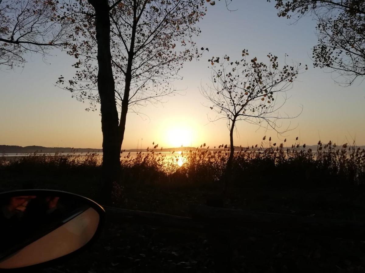 La Fenice Montefiascone Dış mekan fotoğraf