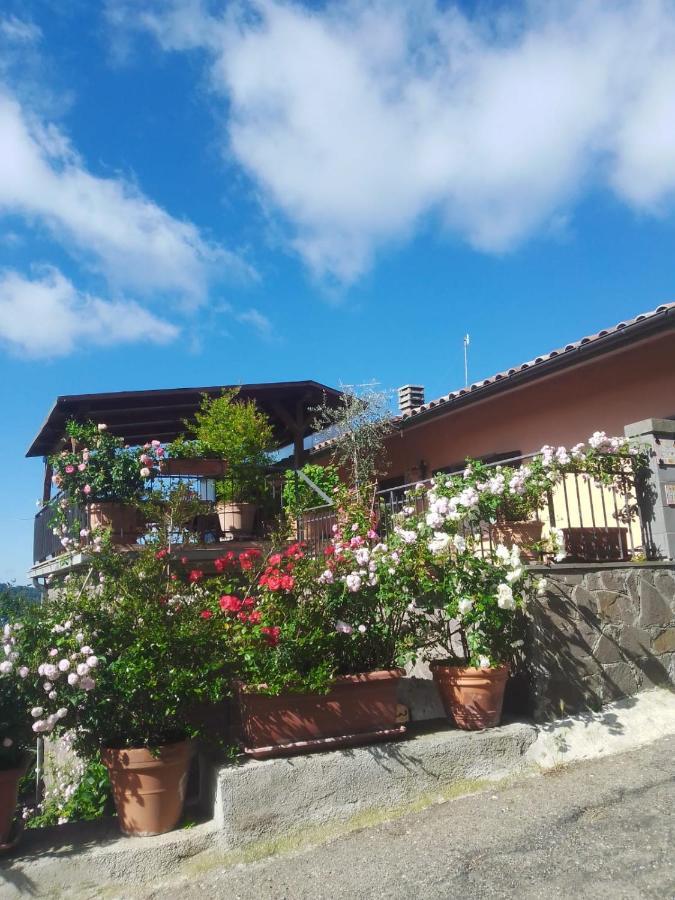La Fenice Montefiascone Dış mekan fotoğraf