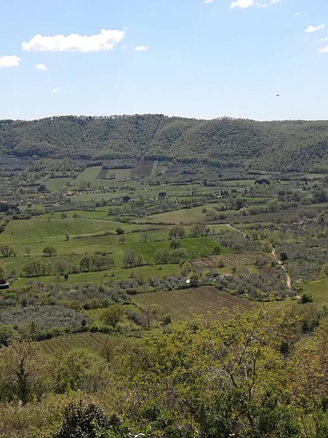 La Fenice Montefiascone Dış mekan fotoğraf